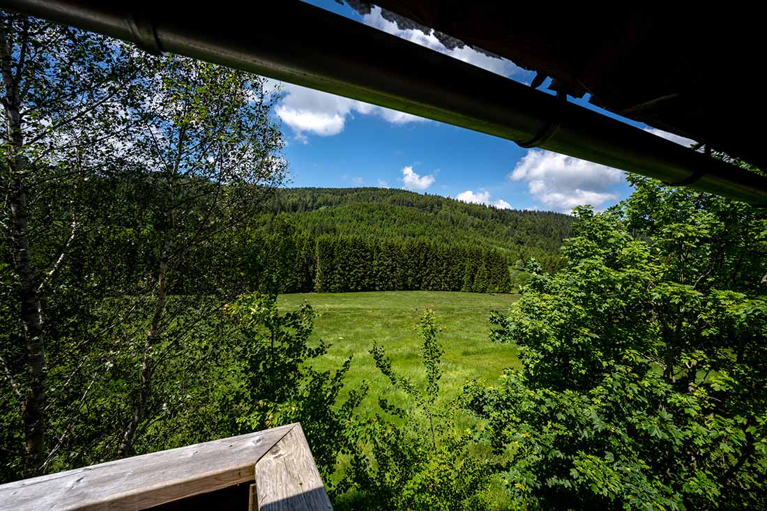 Ein Blick vom Balkon und schon will man raus in die Natur