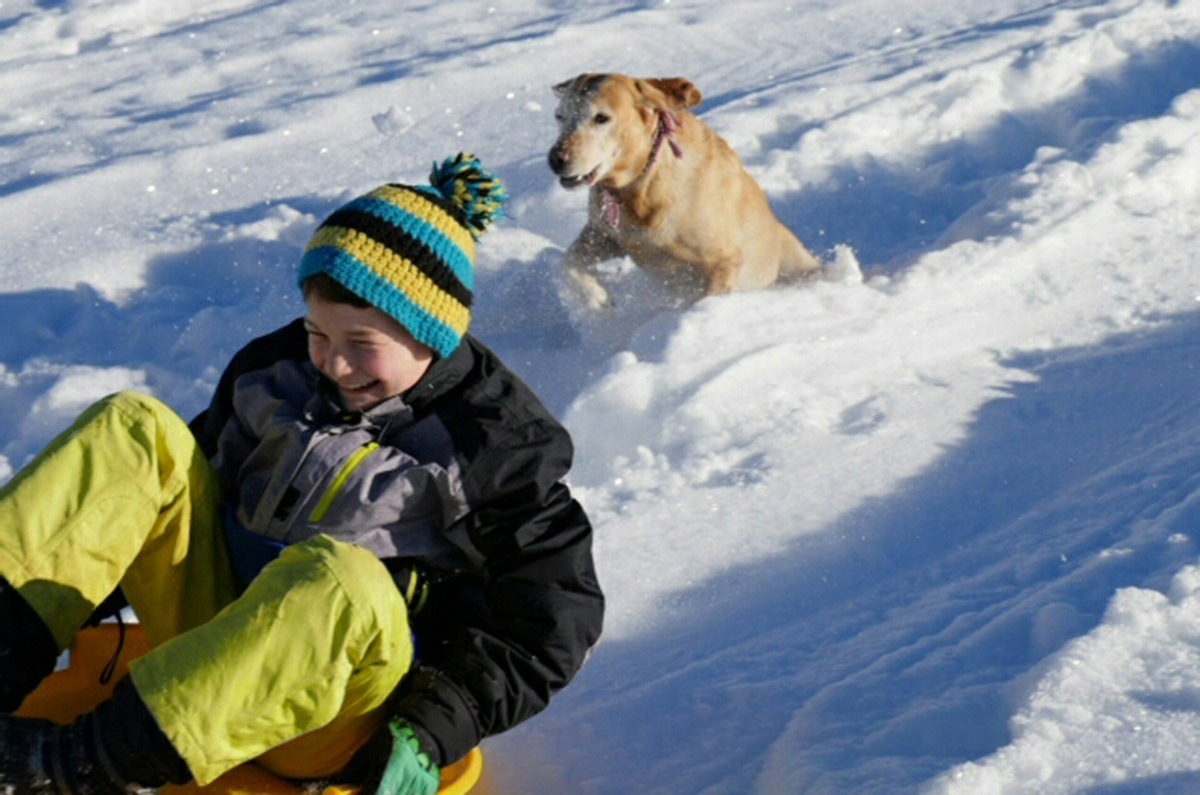 Winterzauber - Familienferien und Kinderparadies auf dem umweltbewusst geführten Farnbauernhof in Schönwald im Schwarzwald
