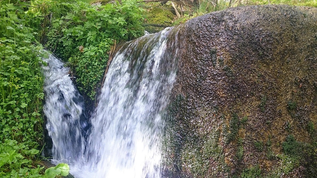 Unsere Naturidylle - Familienferien und Kinderparadies auf dem umweltbewusst geführten Farnbauernhof in Schönwald im Schwarzwald