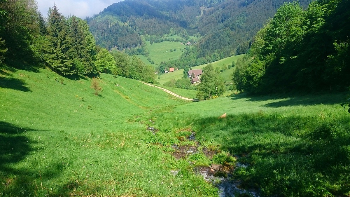 Unsere Naturidylle - Familienferien und Kinderparadies auf dem umweltbewusst geführten Farnbauernhof in Schönwald im Schwarzwald