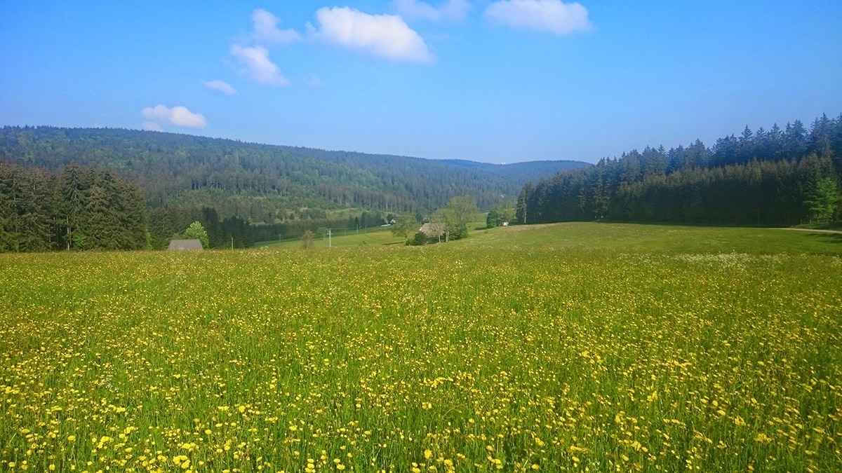 Unsere Naturidylle - Familienferien und Kinderparadies auf dem umweltbewusst geführten Farnbauernhof in Schönwald im Schwarzwald