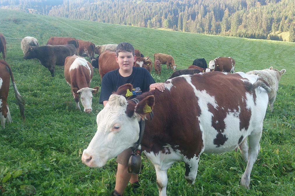 Die Farnkühe - Familienferien und Kinderparadies mit Kühen auf dem umweltbewussten Farnbauernhof in Schönwald im