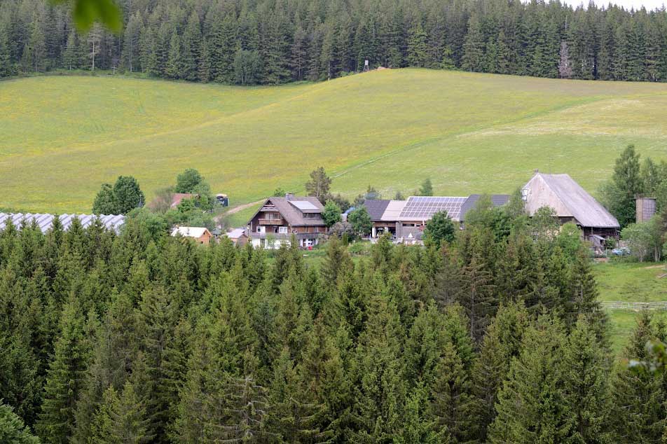 Wir versuchen auf dem Farnbauernhof alle Möglichkeiten zu nutzen, um unseren ökologischen Fußabdruck möglichst gering zu halten.