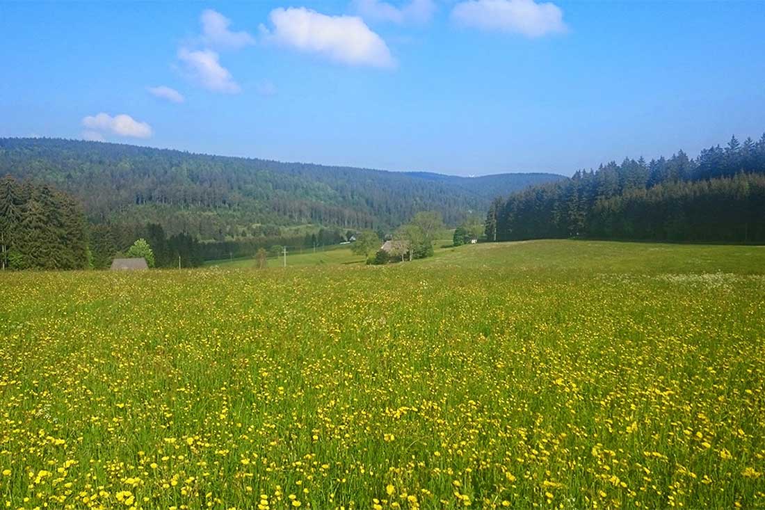 Die einzigartige Landschaft und die nachhaltig bewirtschafteten Felder, Wiesen und Wälder des Farnbauernhofs sind die ideale Umgebung um den Schwarzwald in seiner ganzen Pracht und natürlichen Vielfalt zu genießen!!